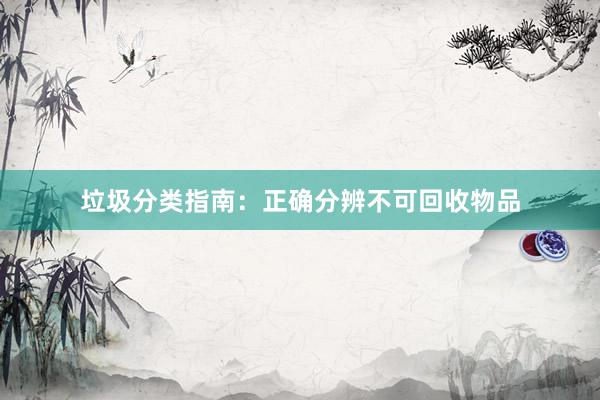垃圾分类指南：正确分辨不可回收物品