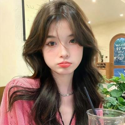 如果德川家康成为总理大臣