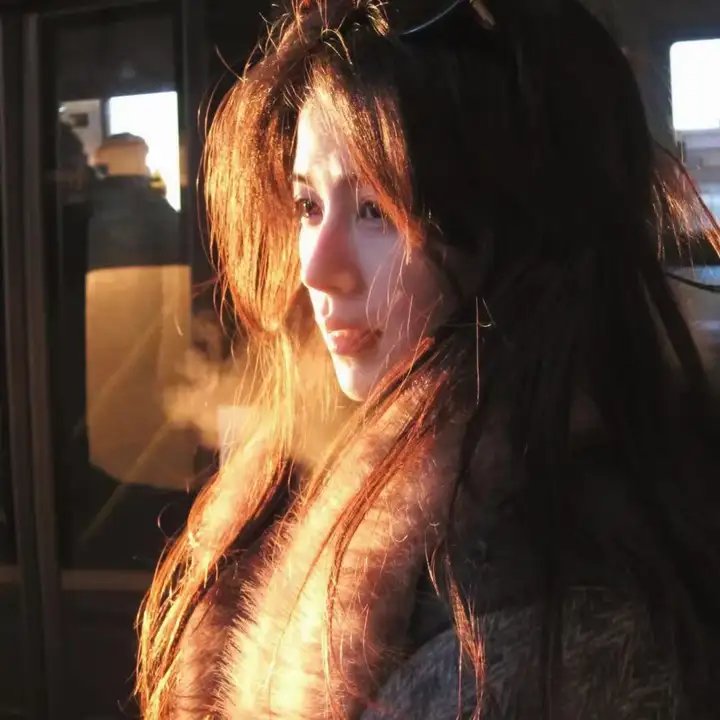 鹿枫堂四色日和2022